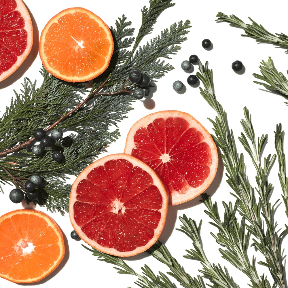 Revive_Ingredients_4